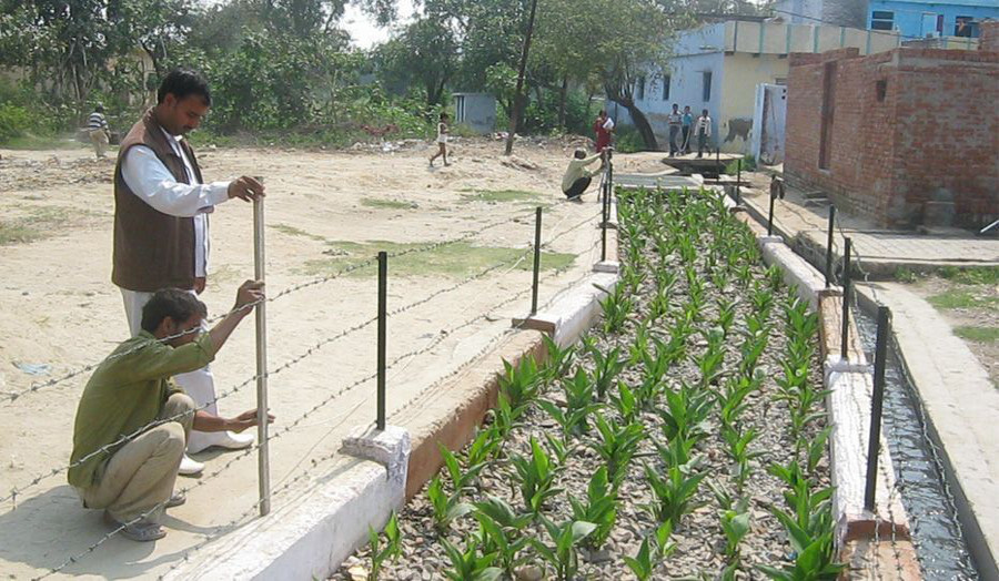 Architecture of Rapid Change and Scarce Resources (ARCSR)
An emergent academic research area investigating low income settlements in urbanised environments from degree through to PhD
